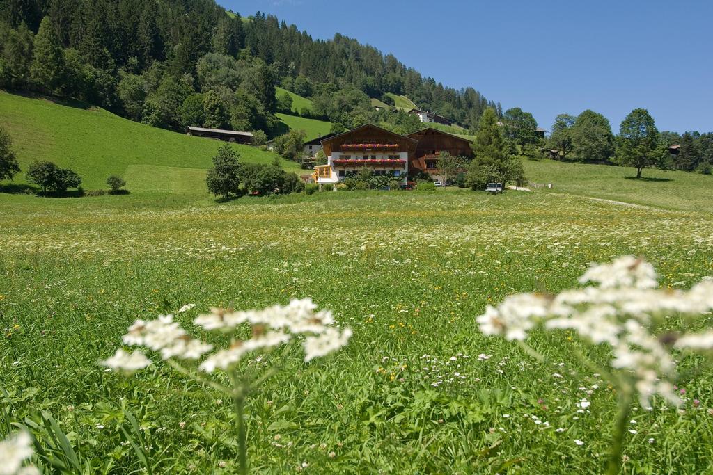 Ladestatthof Hotel Neustift im Stubaital Exterior photo